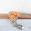Fish Yellow Personalized Dog Collar Set - iTalkPet