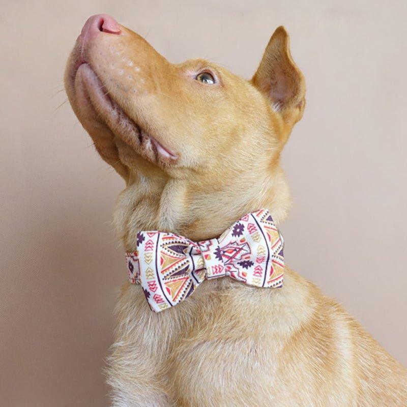 Folk Brown Personalized Dog Collar Set - iTalkPet