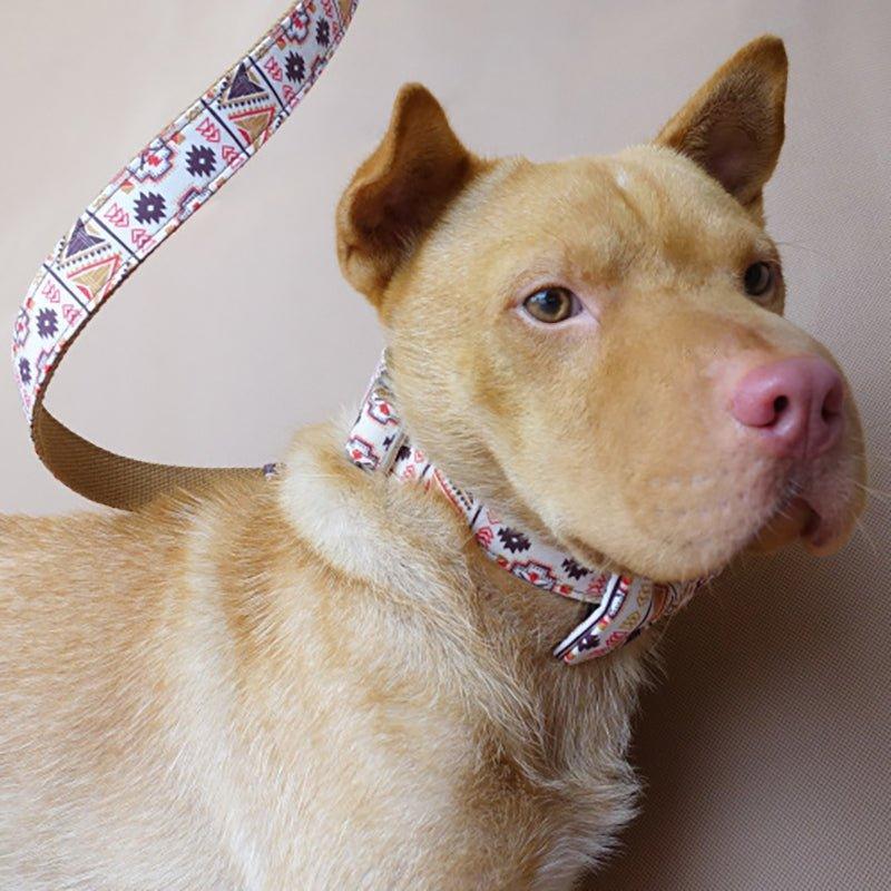 Folk Brown Personalized Dog Collar Set - iTalkPet