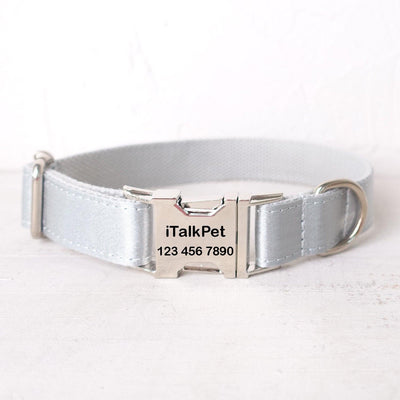 Frost Silver Personalized Dog Collar Set - iTalkPet