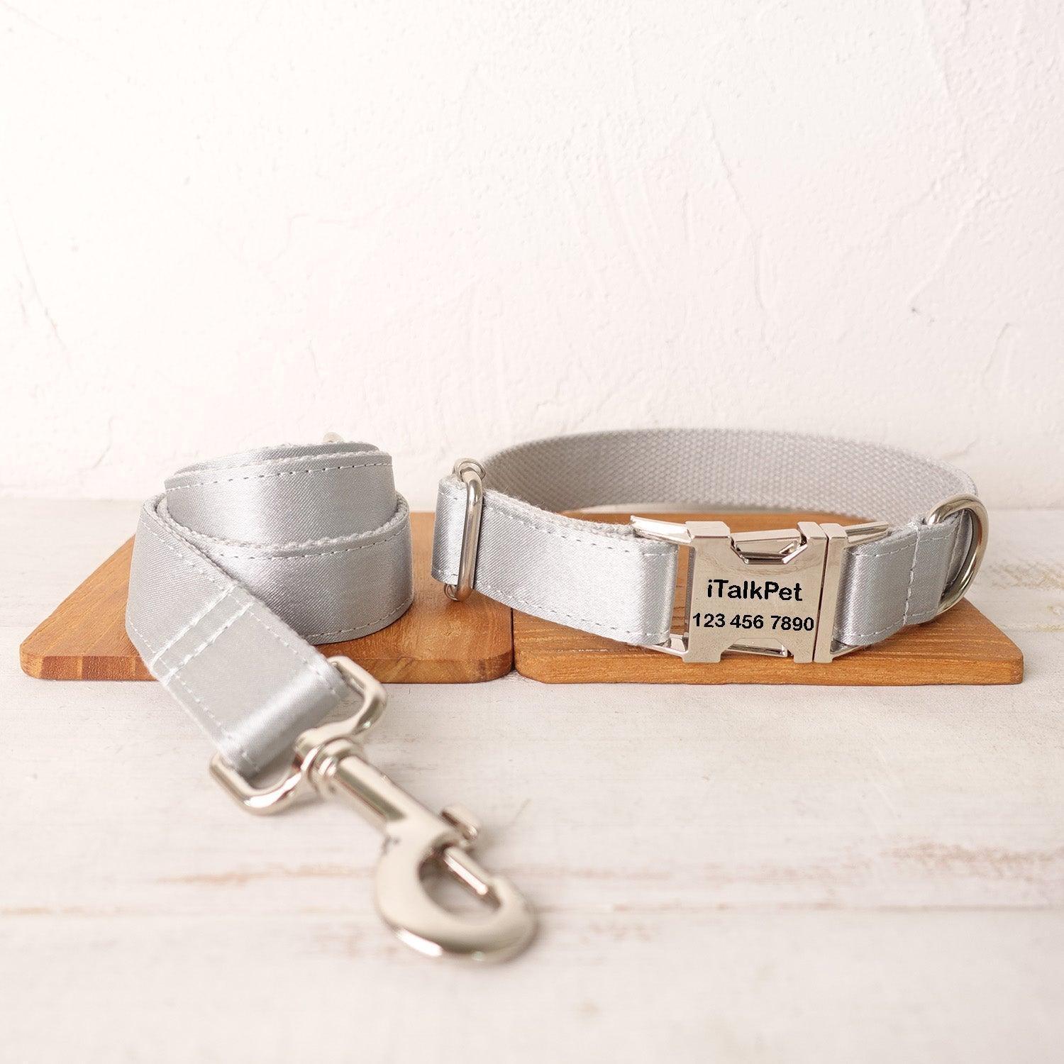 Frost Silver Personalized Dog Collar Set - iTalkPet