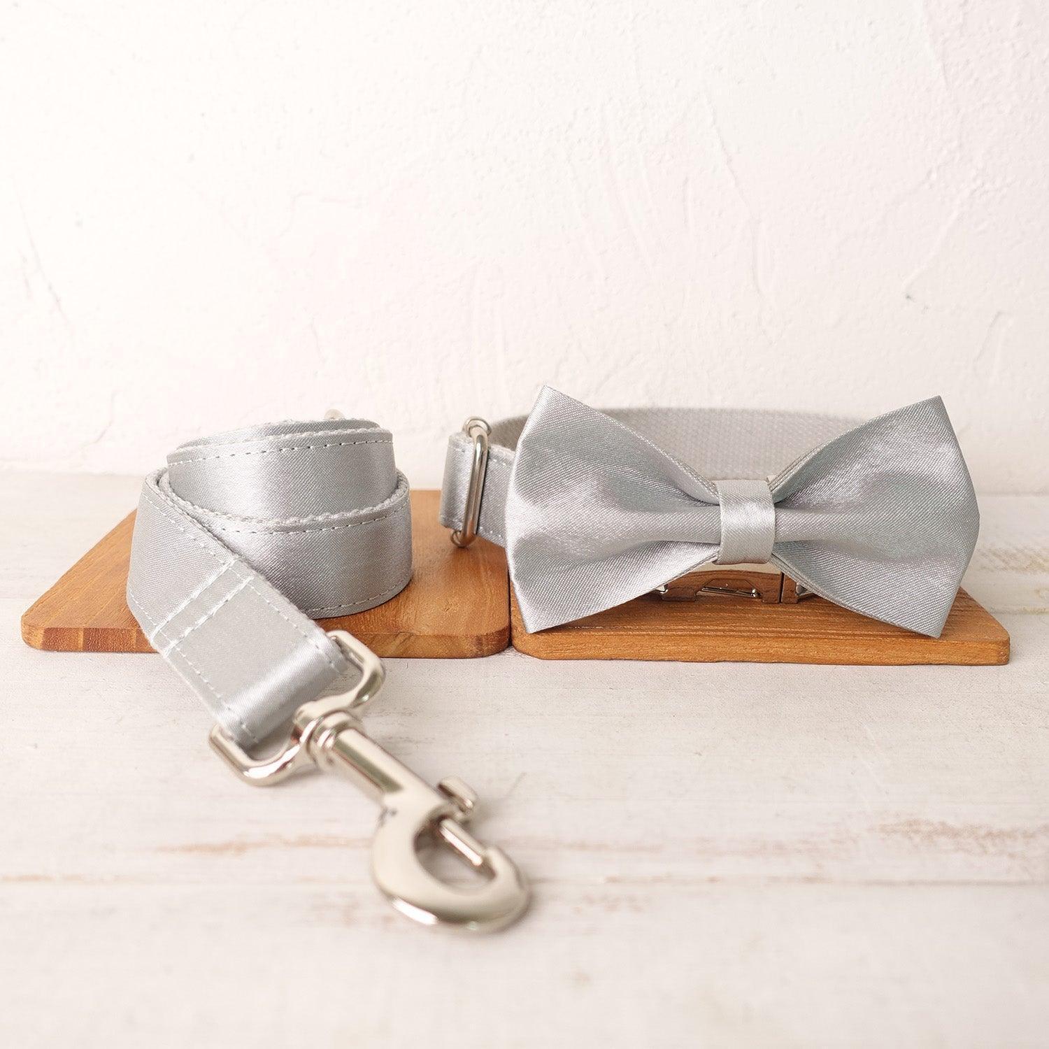 Frost Silver Personalized Dog Collar Set - iTalkPet