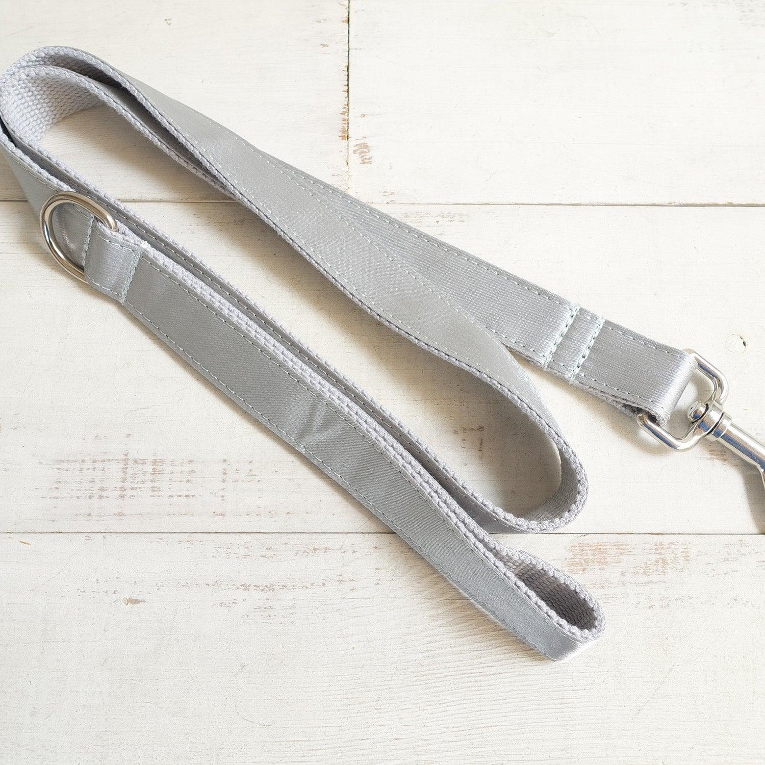 Frost Silver Personalized Dog Collar Set - iTalkPet