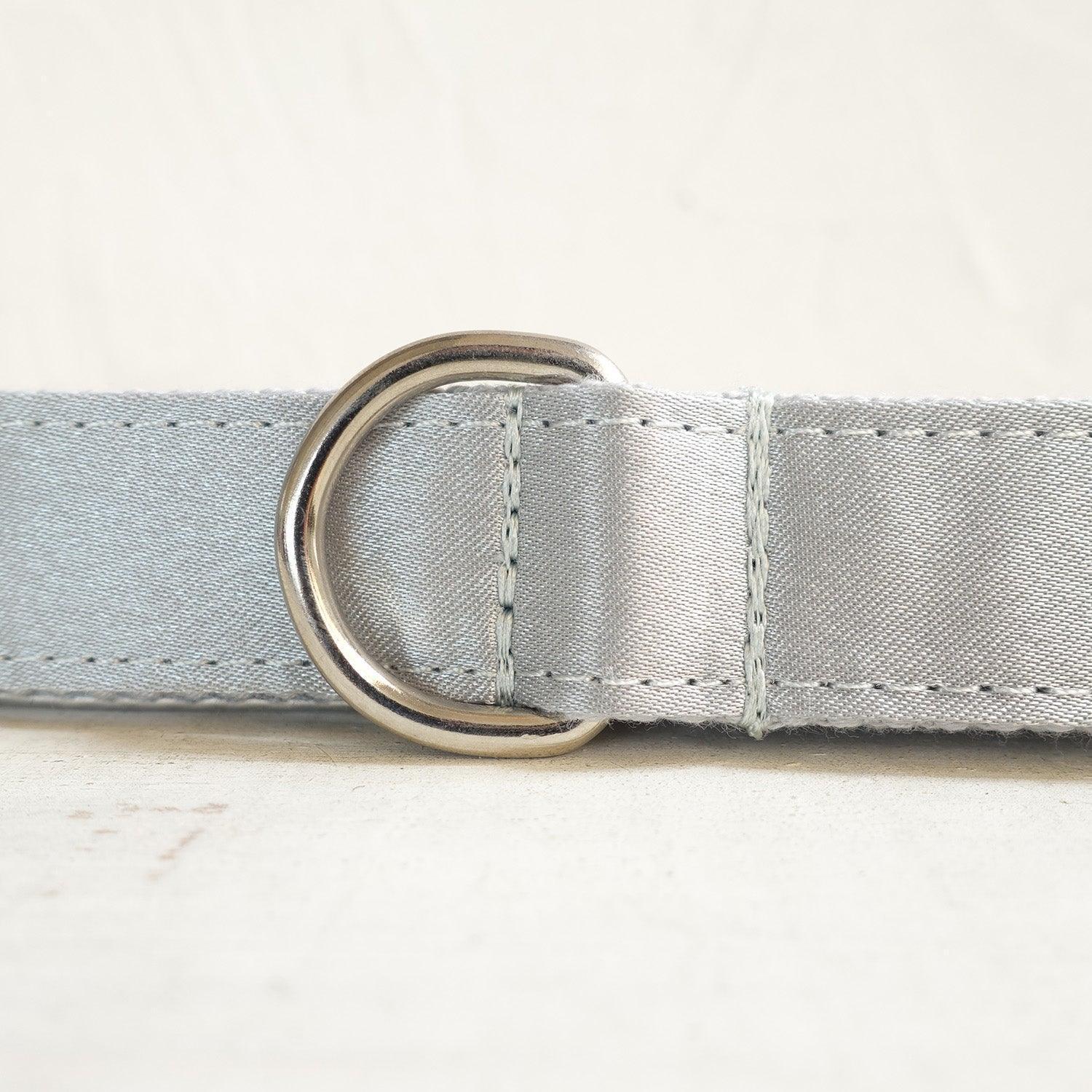 Frost Silver Personalized Dog Collar Set - iTalkPet