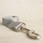 Frost Silver Personalized Dog Collar Set - iTalkPet