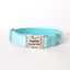 Glacier Blue Personalized Dog Collar Set - iTalkPet