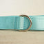 Glacier Blue Personalized Dog Collar Set - iTalkPet