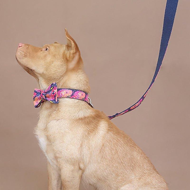 Graffiti Navy Personalized Dog Collar Set - iTalkPet