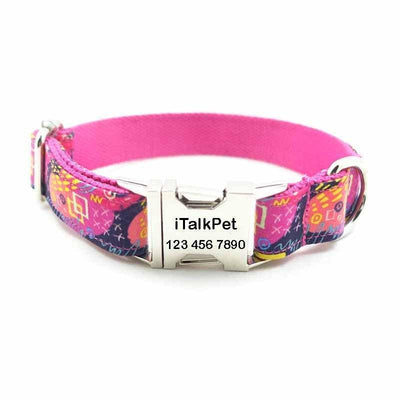 Graffiti Pink Personalized Dog Collar Set - iTalkPet