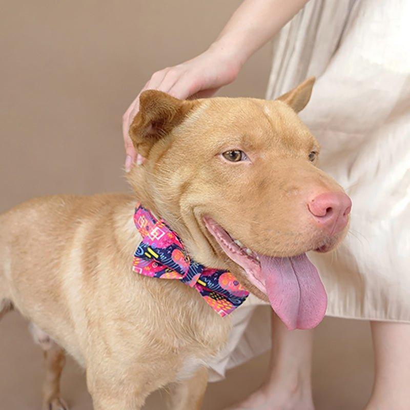 Graffiti Pink Personalized Dog Collar Set - iTalkPet