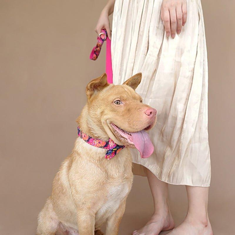 Graffiti Pink Personalized Dog Collar Set - iTalkPet