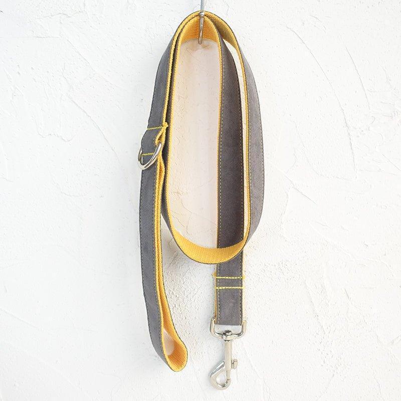 Gray & Yellow Personalized Dog Collar Set - iTalkPet