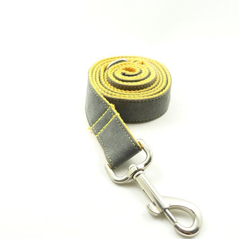 Gray & Yellow Personalized Dog Collar Set - iTalkPet