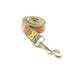 Gray Bohemian Personalized Dog Collar Set - iTalkPet