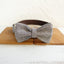 Gray Brown Suit Personalized Dog Collar Set - iTalkPet