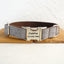 Gray Brown Suit Personalized Dog Collar Set - iTalkPet