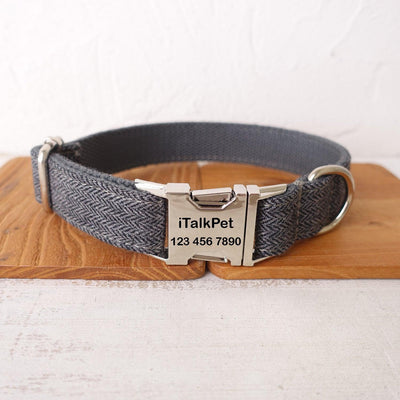 Gray Suit Personalized Dog Collar Set - iTalkPet