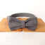 Gray Suit Personalized Dog Collar Set - iTalkPet