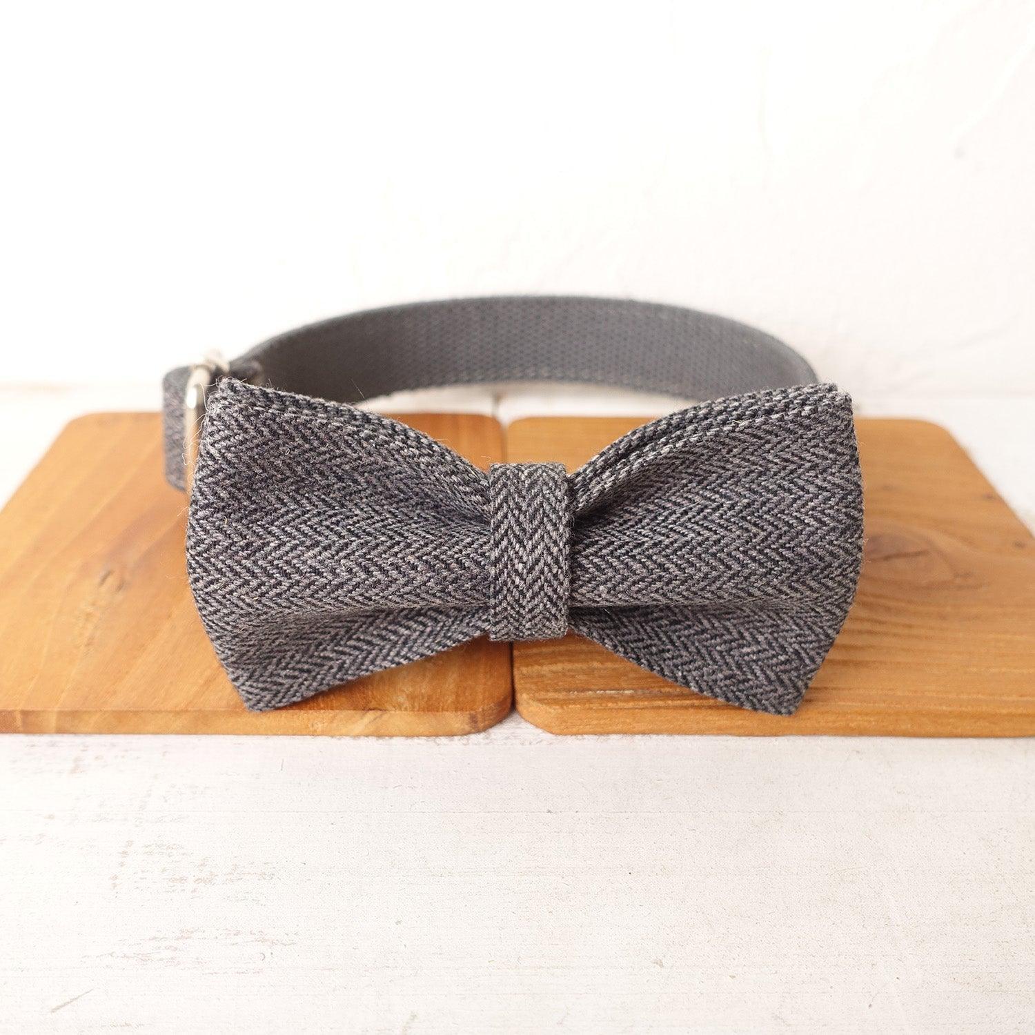 Gray Suit Personalized Dog Collar Set - iTalkPet