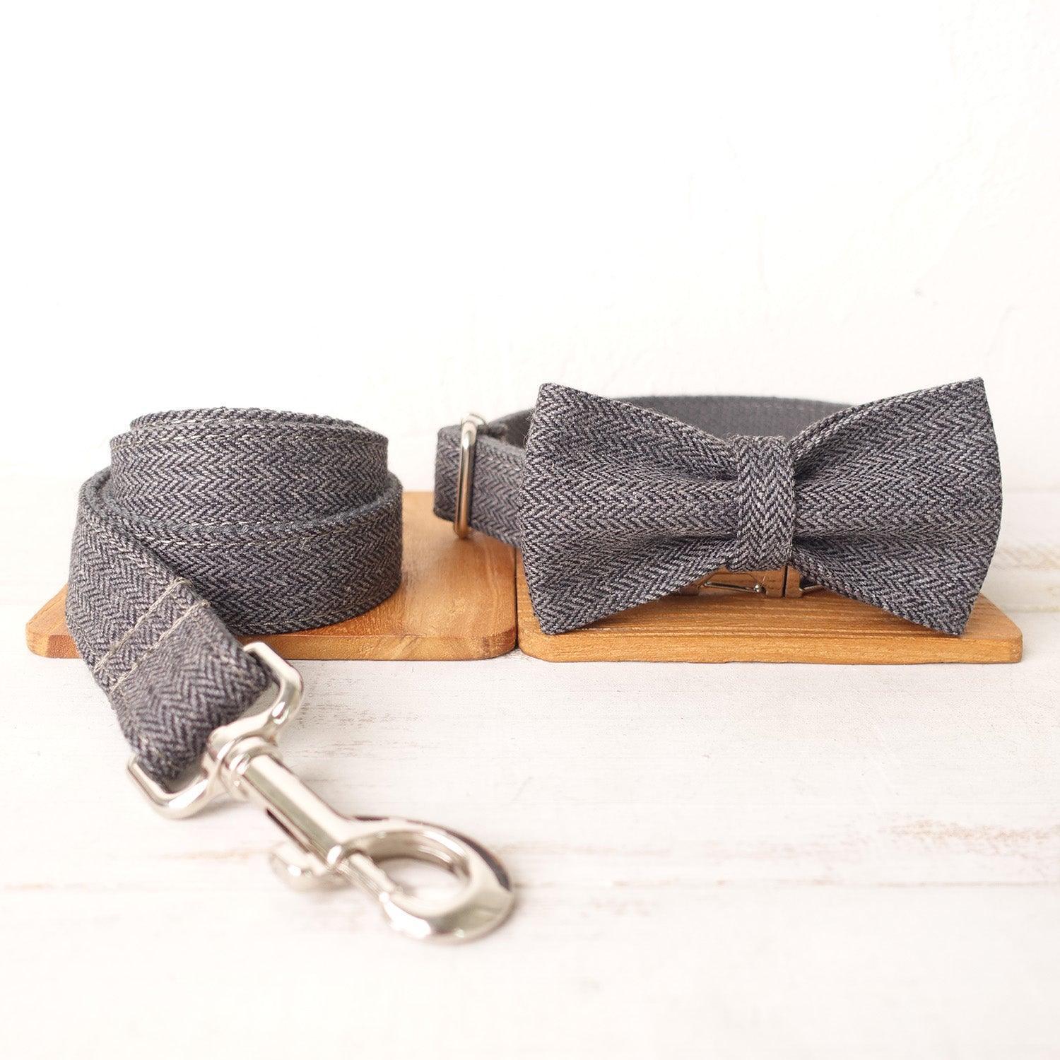 Gray Suit Personalized Dog Collar Set - iTalkPet
