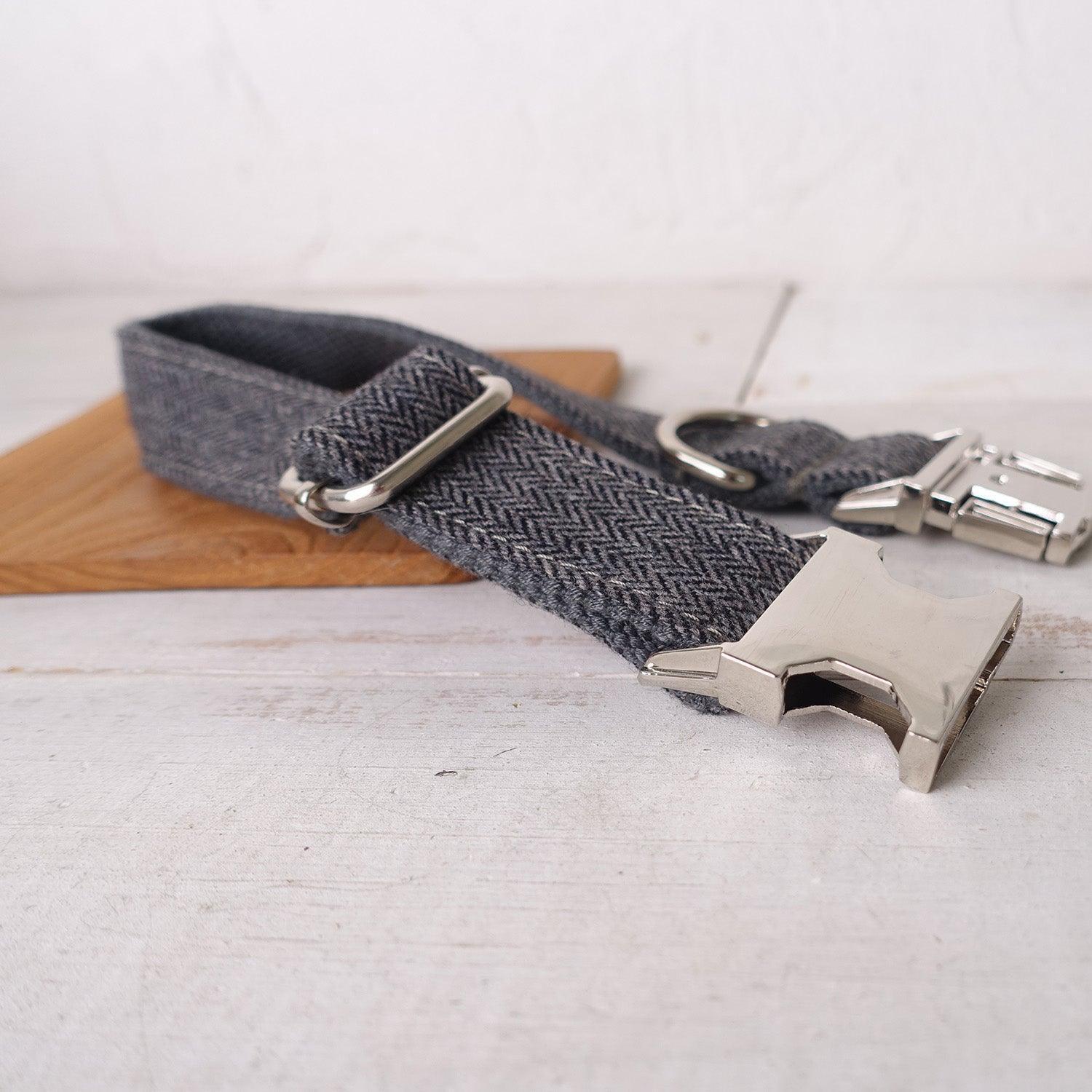 Gray Suit Personalized Dog Collar Set - iTalkPet