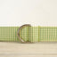 Green Plaid Personalized Dog Collar Set - iTalkPet