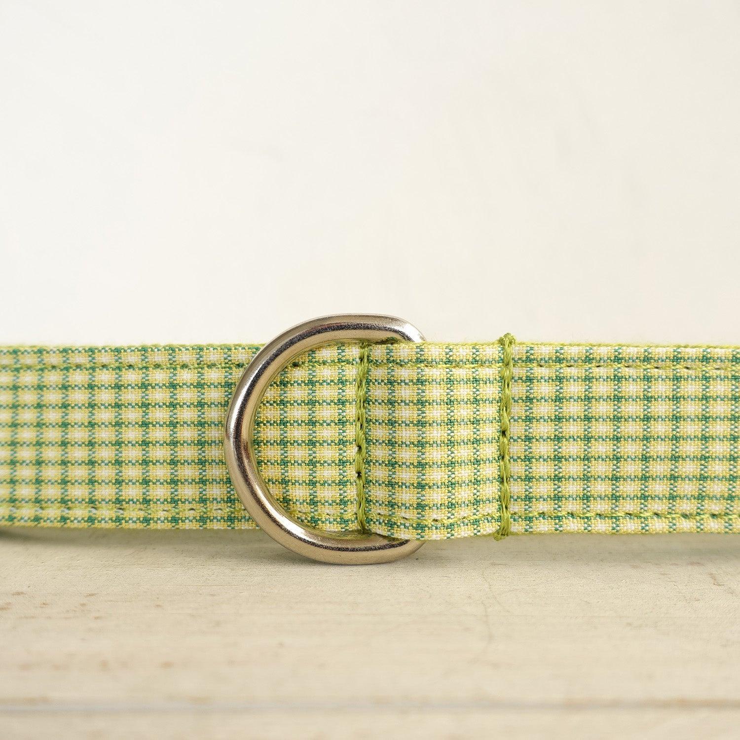 Green Plaid Personalized Dog Collar Set - iTalkPet