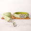 Green Plaid Personalized Dog Collar Set - iTalkPet