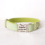 Green Plaid Personalized Dog Collar Set - iTalkPet