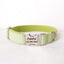 Green Plaid Personalized Dog Collar Set - iTalkPet