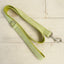 Green Plaid Personalized Dog Collar Set - iTalkPet