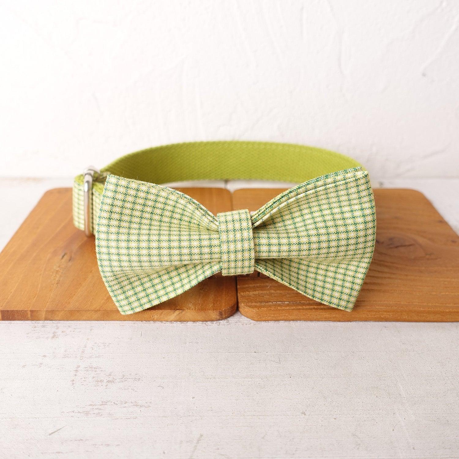 Green Plaid Personalized Dog Collar Set - iTalkPet