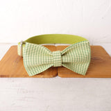 Green Plaid Personalized Dog Collar Set - iTalkPet