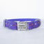 Halloween Night Personalized Dog Collar Set - iTalkPet