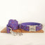 Halloween Night Personalized Dog Collar Set - iTalkPet