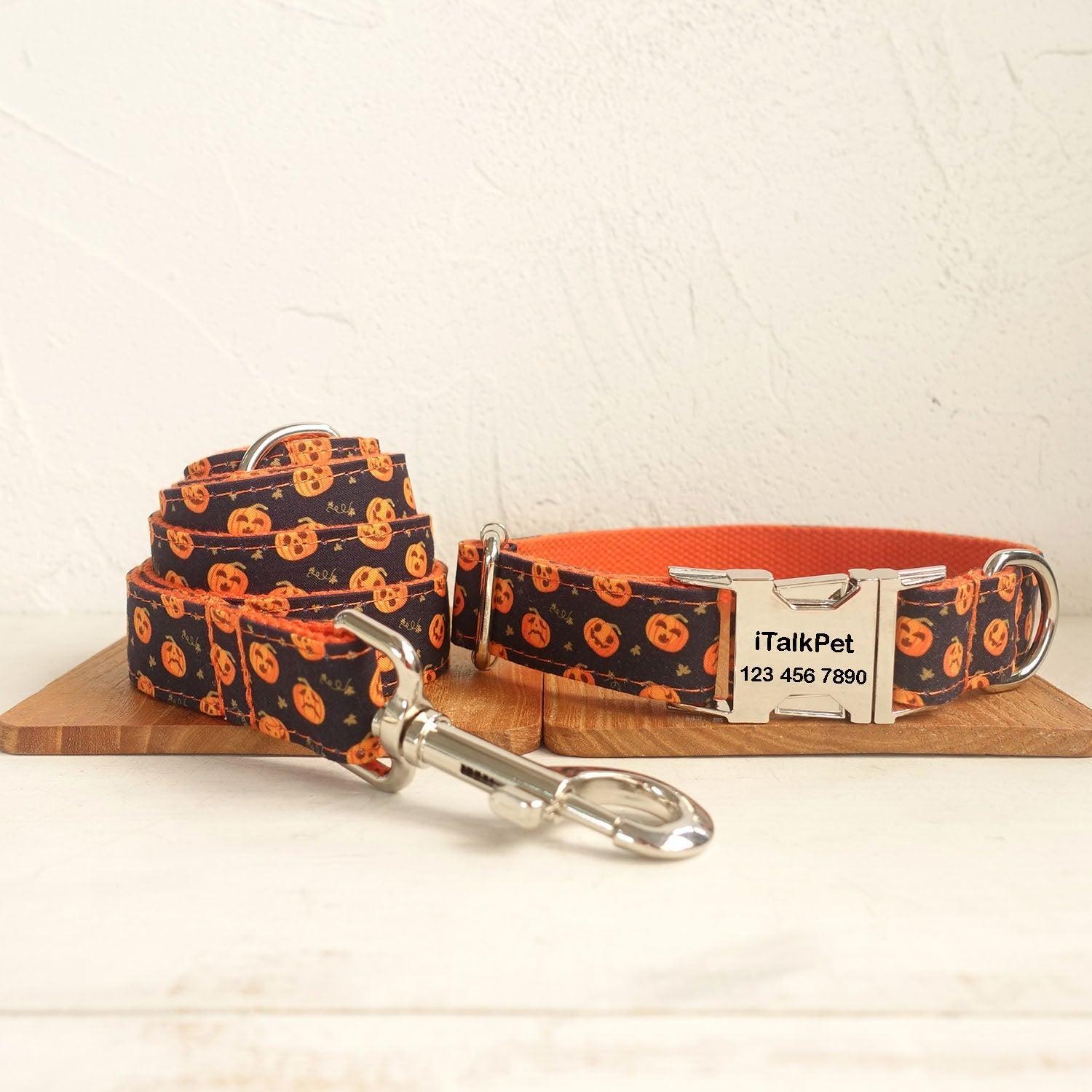 Helloween Pumpkin Personalized Dog Collar Set - iTalkPet