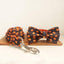 Helloween Pumpkin Personalized Dog Collar Set - iTalkPet