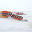 Helloween Pumpkin Personalized Dog Collar Set - iTalkPet