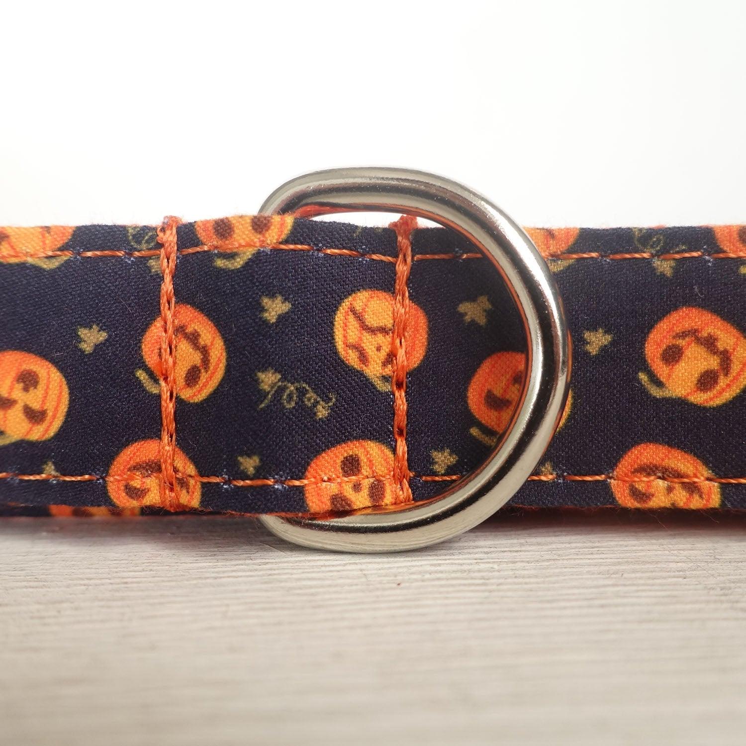 Helloween Pumpkin Personalized Dog Collar Set - iTalkPet