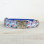 Jelly Blue Personalized Dog Collar Set - iTalkPet