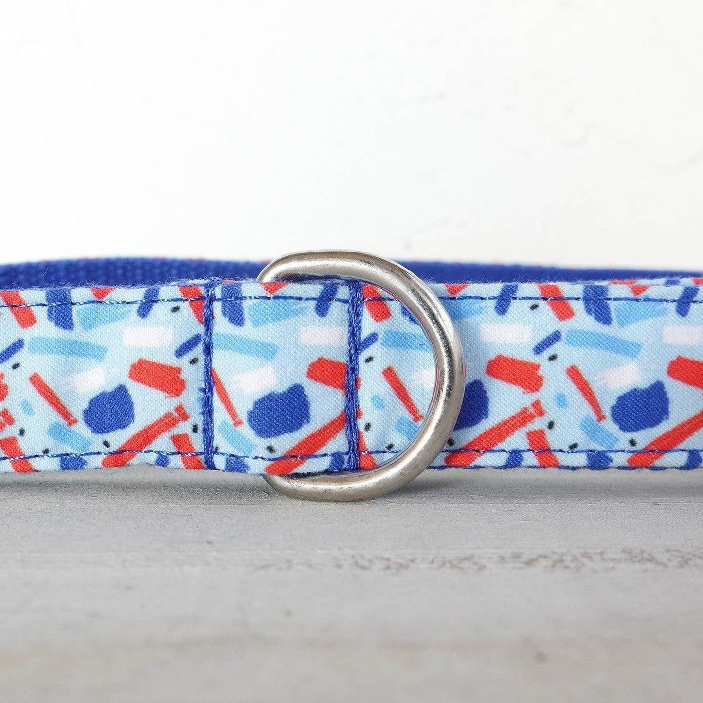 Jelly Blue Personalized Dog Collar Set - iTalkPet