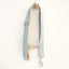 Light Blue Brown Personalized Dog Collar Set - iTalkPet