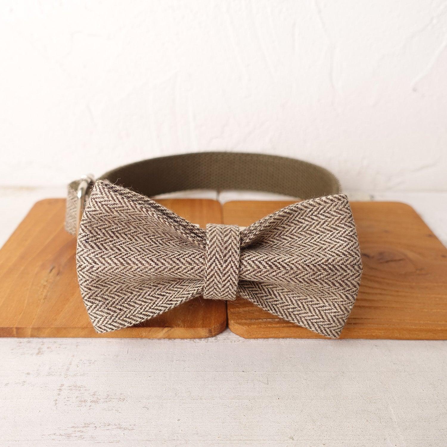 Light Brown Suit Personalized Dog Collar Set - iTalkPet