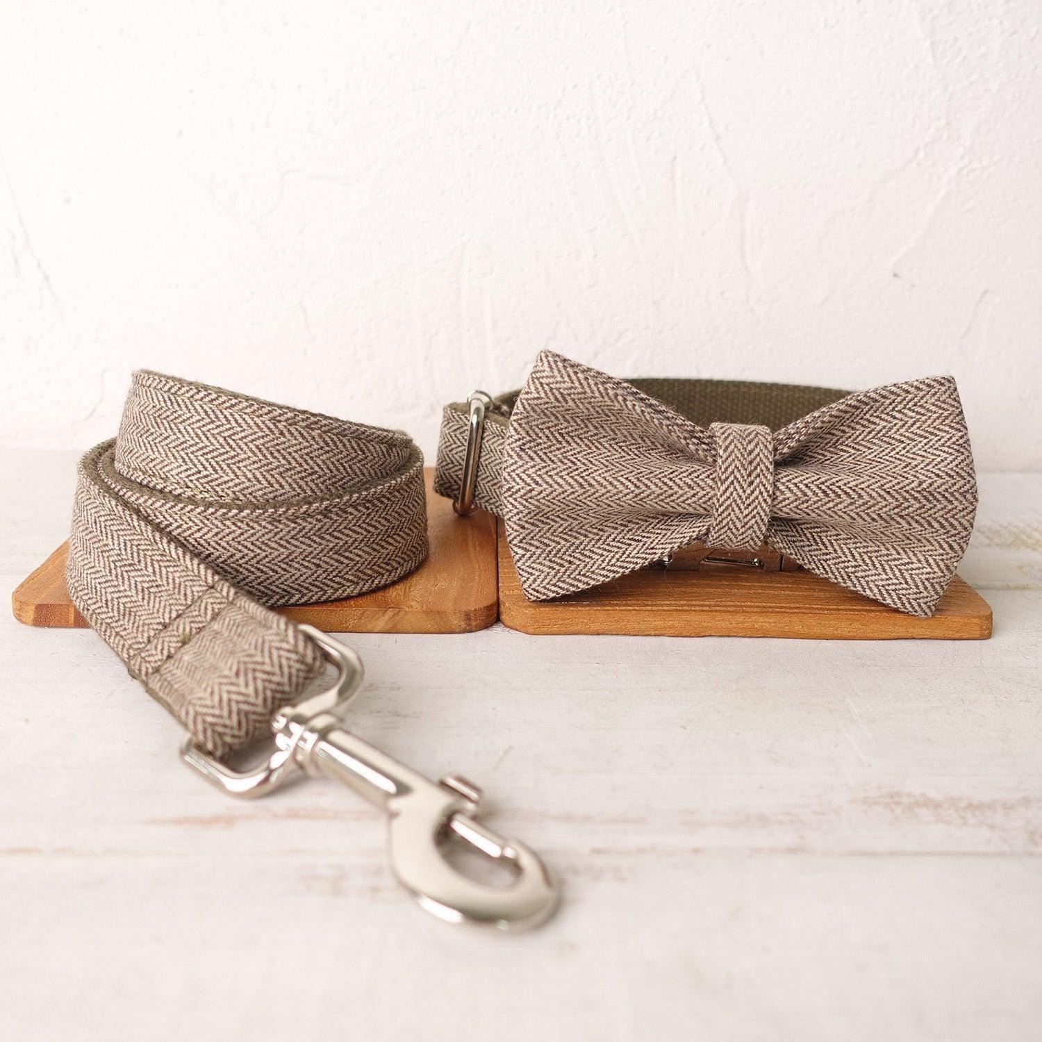 Light Brown Suit Personalized Dog Collar Set - iTalkPet