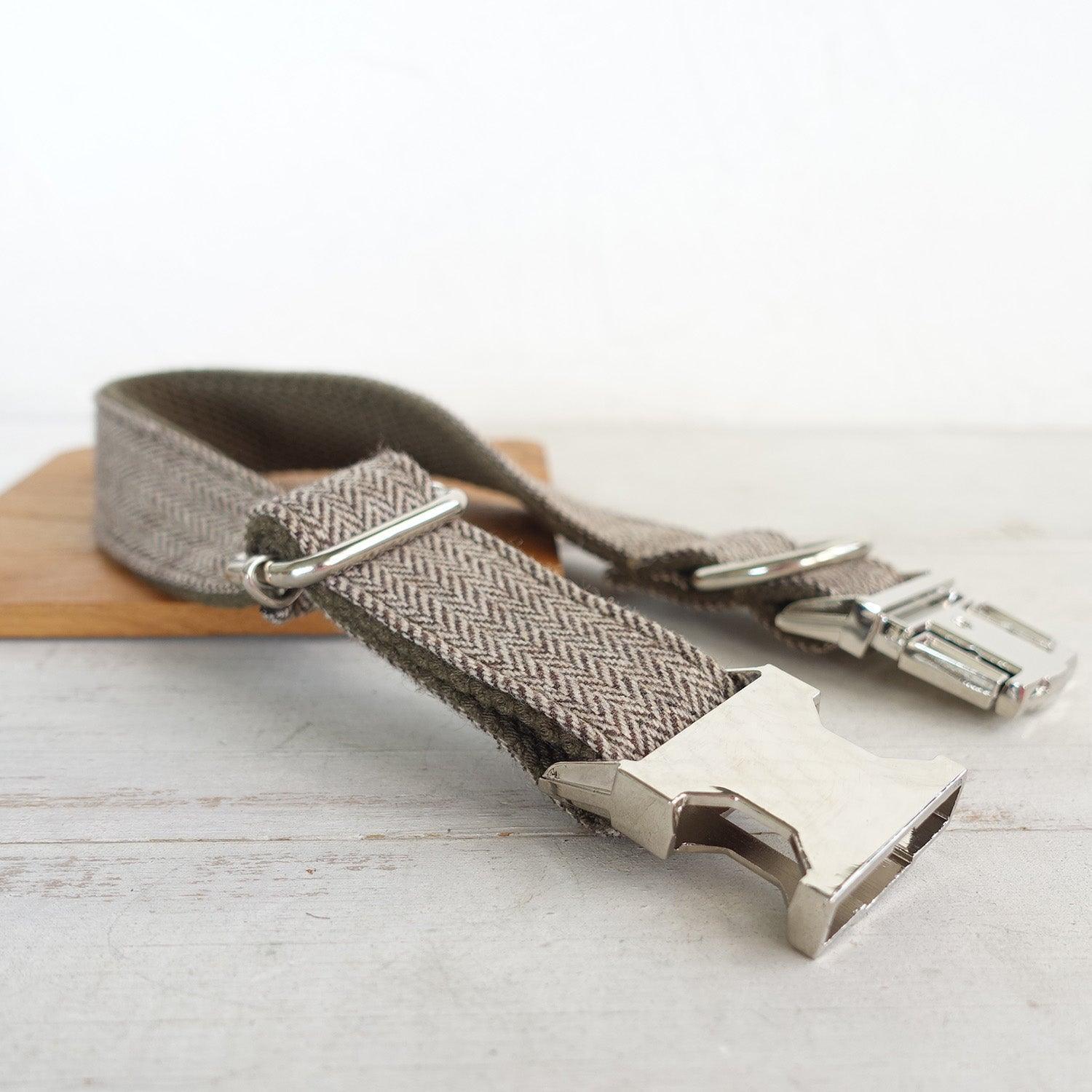 Light Brown Suit Personalized Dog Collar Set - iTalkPet