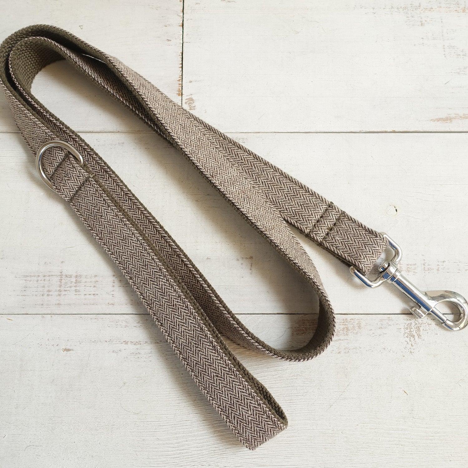 Light Brown Suit Personalized Dog Collar Set - iTalkPet