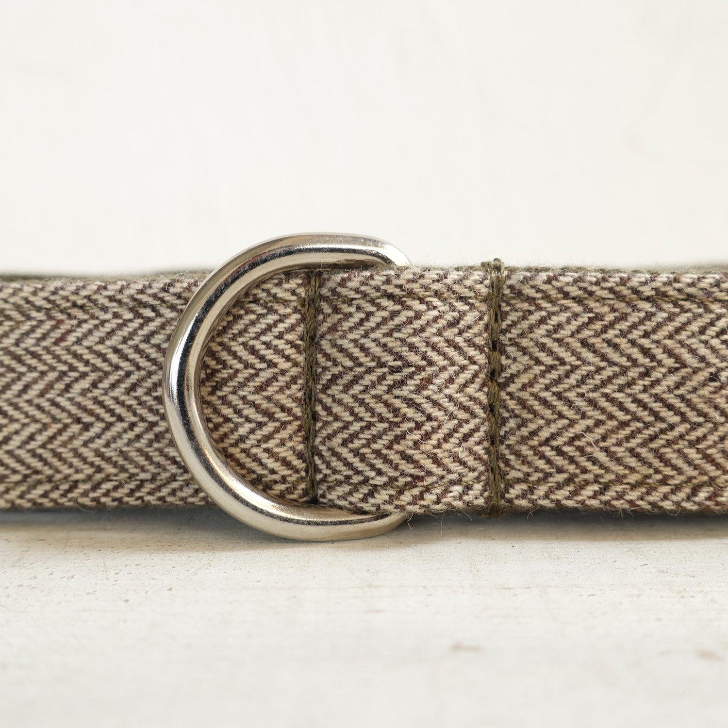 Light Brown Suit Personalized Dog Collar Set - iTalkPet