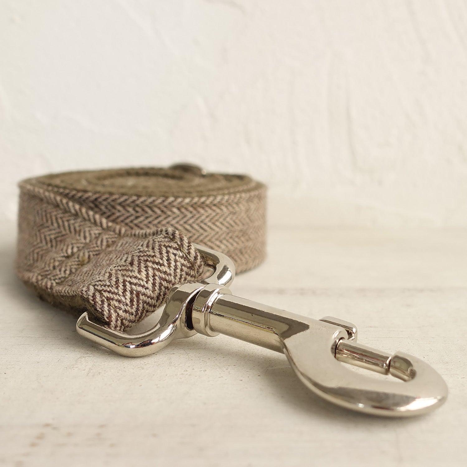 Light Brown Suit Personalized Dog Collar Set - iTalkPet