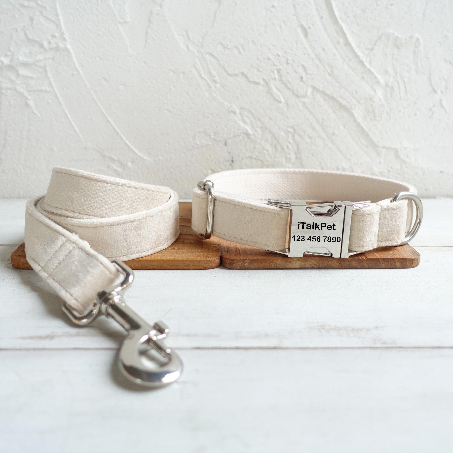 Milk White Personalized Dog Collar Set - iTalkPet