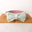 Mint Purple Personalized Dog Collar Set - iTalkPet